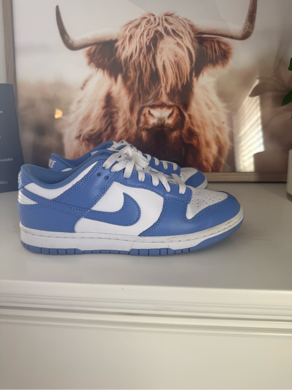Nike Kids Blue and White Low-Top Sneakers